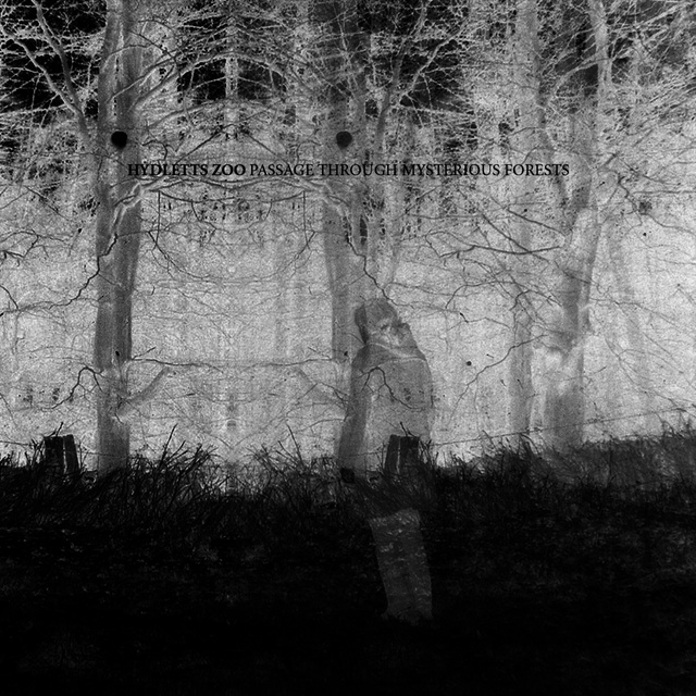 AJ | Projects | Hydletts Zoo | Passage Through Mysterious Forests available as download